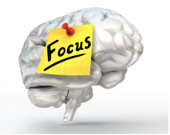 Focus & Performance Training